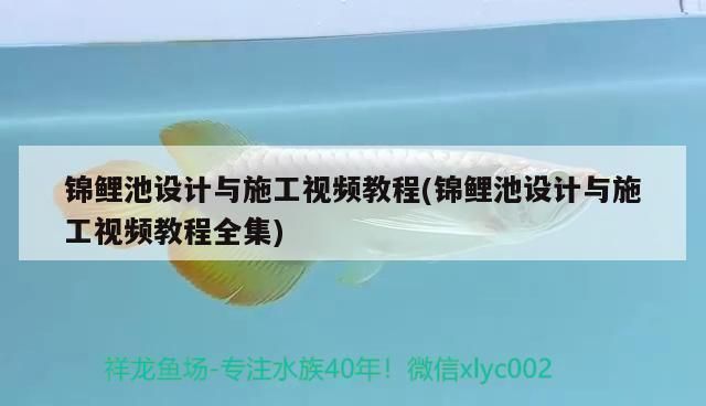 紅老虎魚繁殖后護理要點，紅老虎魚繁殖后護理要點：紅老虎魚繁殖后護理要點