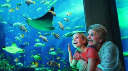 水族館店鋪介紹語句（上海水族館店鋪介紹）