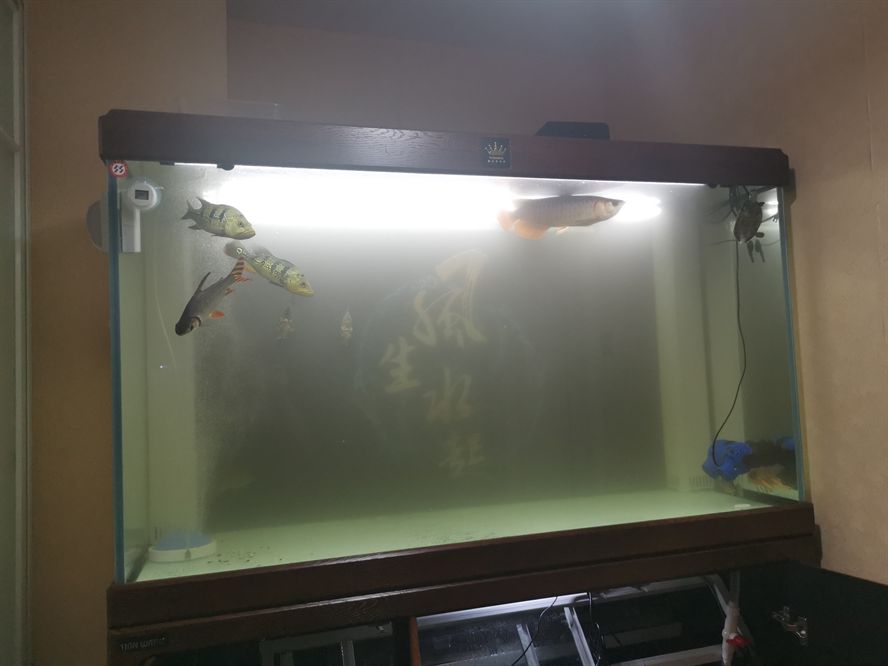 墨水汁怎么辦？？？