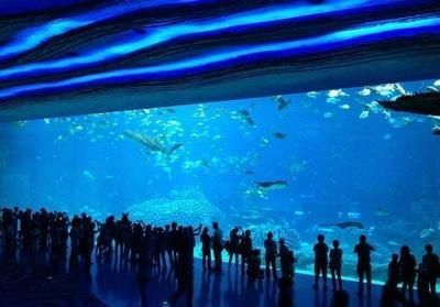 水族館的名字大全有哪些（沖繩美麗海水族館及其特點(diǎn)：圣地亞哥海洋世界沖繩美麗海水族館）