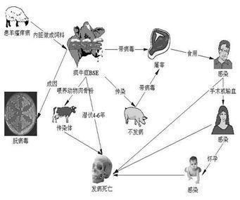 金龍魚運(yùn)輸前后溫差處理：金龍魚在運(yùn)輸過(guò)程中的溫差處理是一個(gè)重要的環(huán)節(jié)