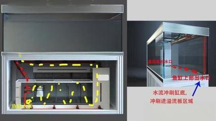 魚缸出水口最佳方向