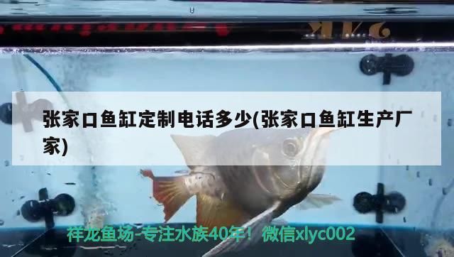 張家口魚缸定制電話多少(張家口魚缸生產廠家) 錦鯉魚百科 第2張 張家口魚缸定制電話多少(張家口魚缸生產廠家) 張家口魚缸定制電話多少(張家口魚缸生產廠家) 錦鯉魚百科 第2張