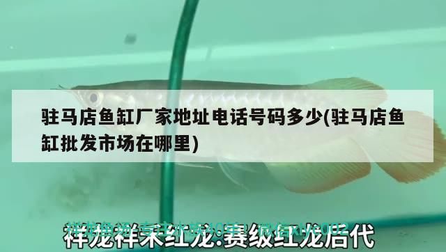 駐馬店魚缸廠家地址電話號碼多少(駐馬店魚缸批發市場在哪里)