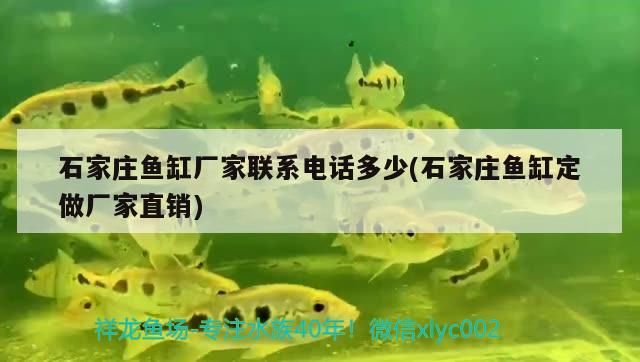 昌平魚缸清洗服務電話（ 昌平賣觀賞魚的地方）