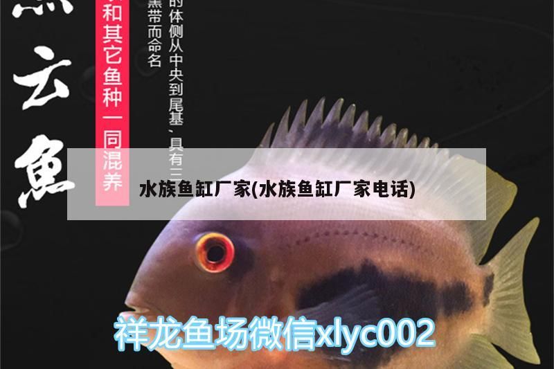 水族魚缸廠家(水族魚缸廠家電話) 水族魚缸廠家(水族魚缸廠家電話) 虎魚百科 第3張