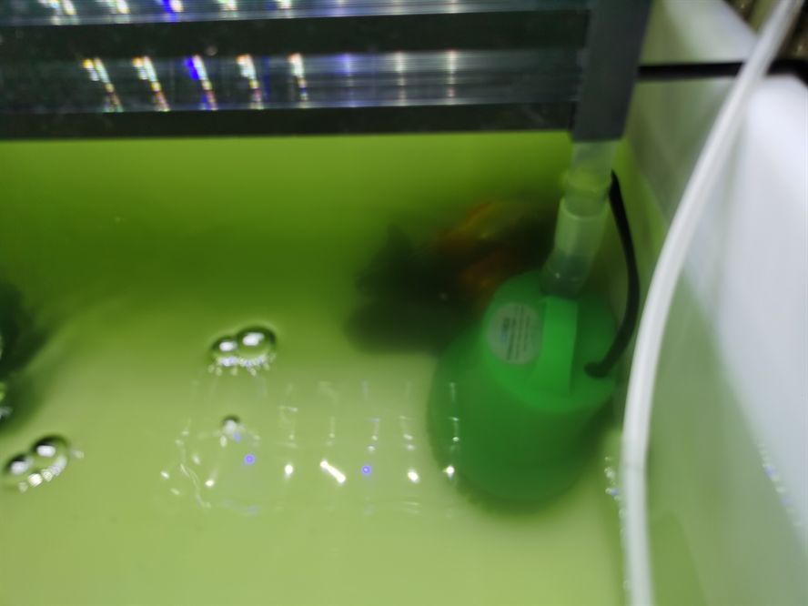 求助水隱約有一股洗衣皂的味道