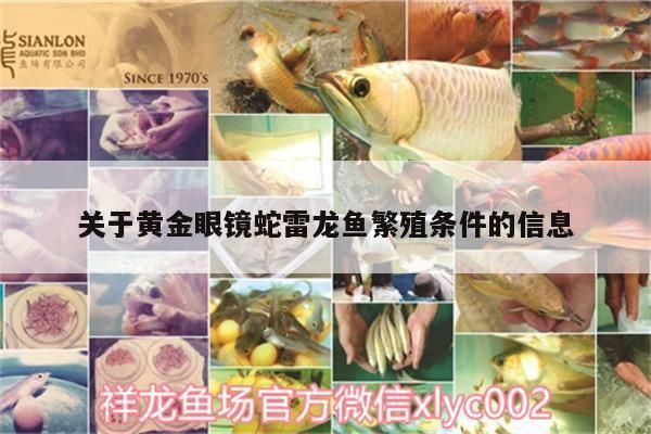 雷龍魚好配對嗎，如何判斷雷龍魚是否好配對