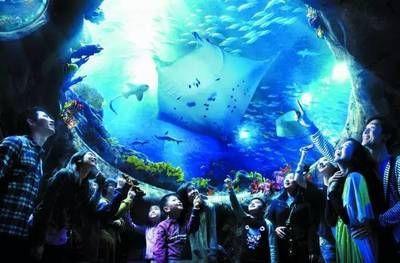 動態水族館主題（動態水族館主題是什么）