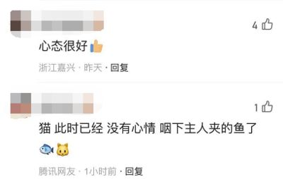 龍魚麻醉用什么藥？安全有效的麻醉方法詳解，龍魚麻醉安全用藥指南及有效方法詳解 龍魚麻醉用什么藥？安全有效的麻醉方法詳解，龍魚麻醉安全用藥指南及有效方法詳解 龍魚常見疾病 第6張