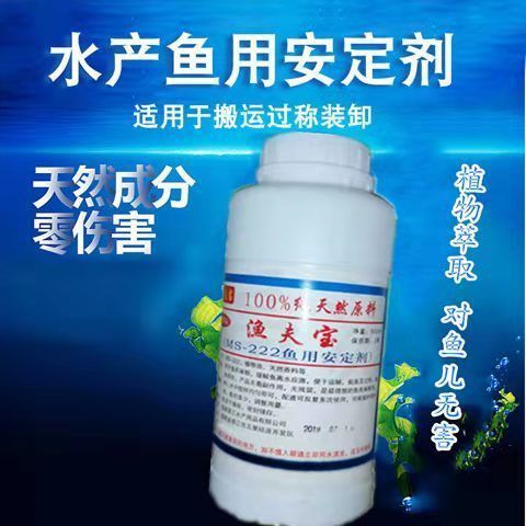什么是古典龍魚(龍魚的區(qū)別)