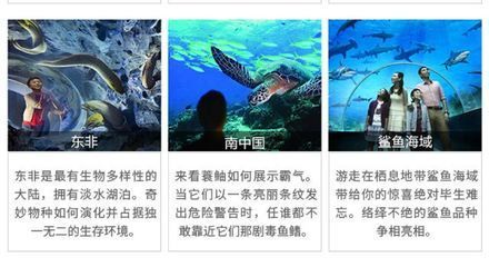 水族館起什么名字霸氣點（水族館名字應該體現出其獨特的魅力和特色，同時要易于記憶、發音清晰） 水族館起什么名字霸氣點（水族館名字應該體現出其獨特的魅力和特色，同時要易于記憶、發音清晰） 水族館百科（水族館加盟） 第4張