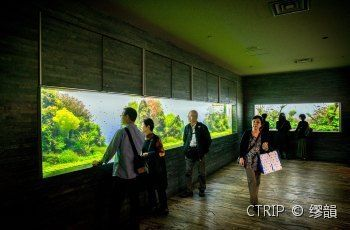 水族館在哪個(gè)地方（三亞水族館、沖繩美麗海水族館）