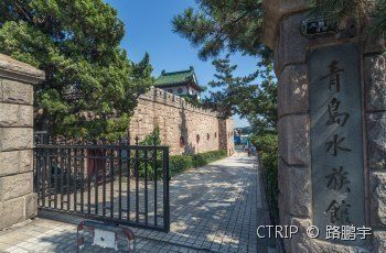 水族館在哪個(gè)地方（三亞水族館、沖繩美麗海水族館）