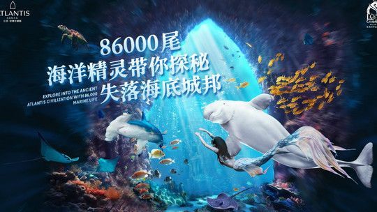 水族館在哪個(gè)地方（三亞水族館、沖繩美麗海水族館）