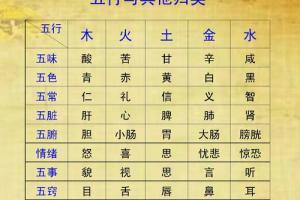 印尼紅龍魚好養(yǎng)嗎怎么養(yǎng)的好看圖片(印尼紅龍魚好養(yǎng)嗎怎么養(yǎng)的好看圖片) 印尼紅龍魚好養(yǎng)嗎怎么養(yǎng)的好看圖片(印尼紅龍魚好養(yǎng)嗎怎么養(yǎng)的好看圖片) 紅龍魚百科 第2張