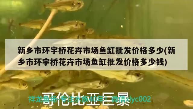 新鄉市環宇橋花卉市場魚缸批發價格多少(新鄉市環宇橋花卉市場魚缸批發價格多少錢)