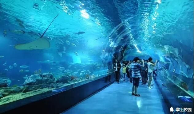 高端水族館（三亞亞特蘭蒂斯水族箱優惠活動魚寶貝水族箱優惠活動）