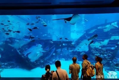 高端水族館（三亞亞特蘭蒂斯水族箱優惠活動魚寶貝水族箱優惠活動） 高端水族館（三亞亞特蘭蒂斯水族箱優惠活動魚寶貝水族箱優惠活動） 水族館百科（水族館加盟） 第5張
