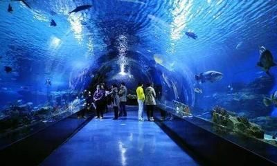 水族館一般用英語怎么說（aquarium,水族館互動體驗有哪些）