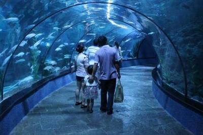 水族館一般用英語怎么說（aquarium,水族館互動體驗有哪些）