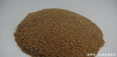 水族店元寶鳳凰魚(yú)飼料品牌：元寶鳳凰魚(yú)飼料品牌推薦，
