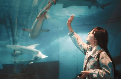 水族館發展前景分析論文（水族館發展前景分析）