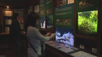 水族館發展前景分析論文（水族館發展前景分析）
