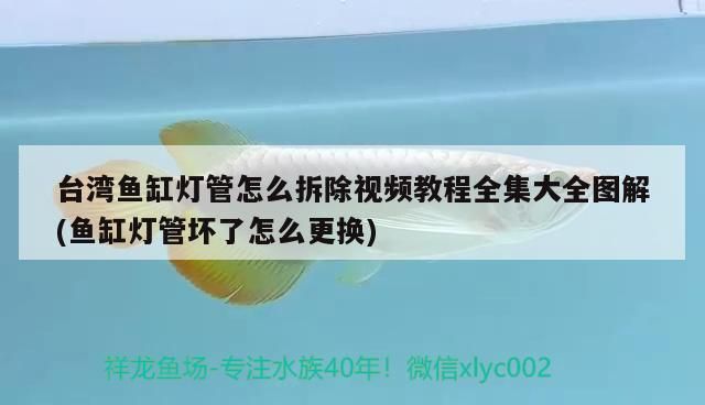 臺(tái)灣魚缸燈管怎么拆除視頻教程全集大全圖解(魚缸燈管壞了怎么更換)