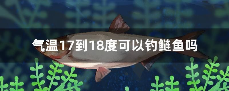 氣溫17到18度可以釣鰱魚嗎