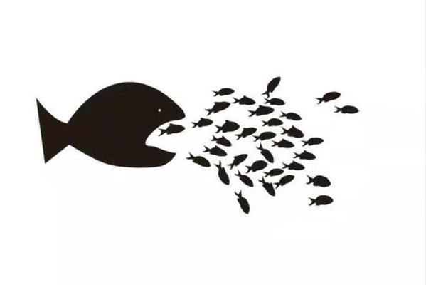 孔雀魚與金龍魚混養注意事項：孔雀魚與金龍魚混養的注意事項