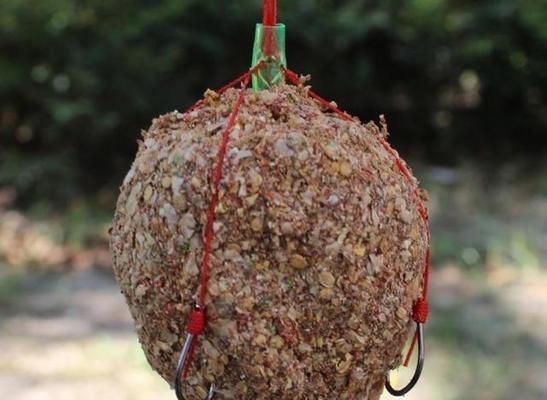 大湖紅龍魚ph（關于“大湖紅龍魚ph”的一些問題）