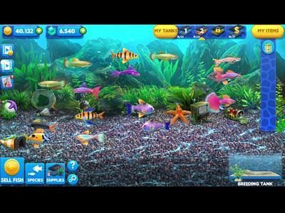 游戲水族館大亨（《水族館大亨》模擬經營游戲排行水族館大亨新手指南）