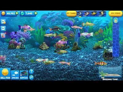 游戲水族館大亨（《水族館大亨》模擬經營游戲排行水族館大亨新手指南）