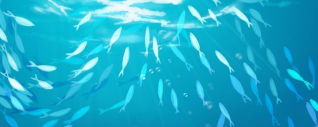 水族館兒童票多少歲（上海水族館兒童票多少歲詳情）