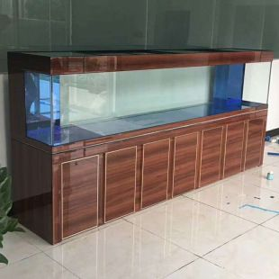 龍魚魚缸廠家排行榜及價格表，龍魚魚缸廠家排行榜