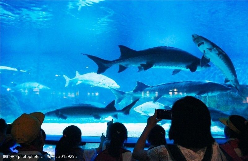 水族館里一般有什么動物呢（水族館中的特殊展區(qū)）
