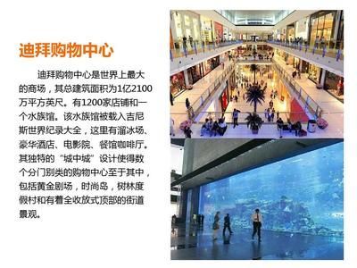 水族館店鋪分類屬于什么類型（觀賞魚專營店,綜合型水族館店鋪,） 水族館店鋪分類屬于什么類型（觀賞魚專營店,綜合型水族館店鋪,） 水族館百科（水族館加盟） 第6張