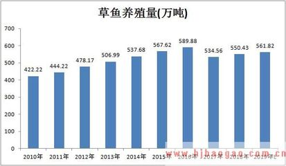銀龍魚混養(yǎng)最佳搭配圖片大全集(銀龍魚適合混養(yǎng)嗎)