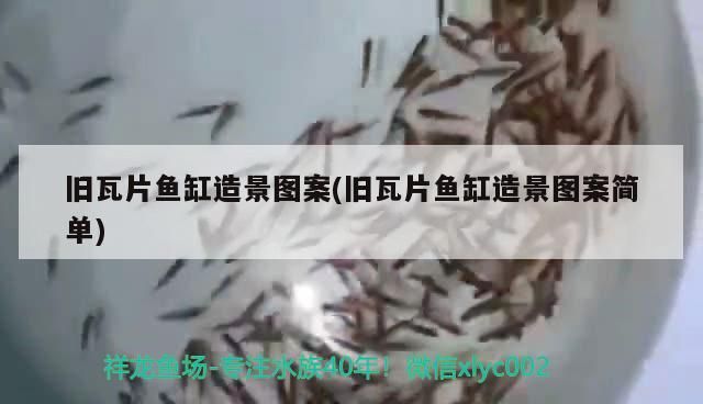 舊瓦片魚缸造景圖案(舊瓦片魚缸造景圖案簡單) 舊瓦片魚缸造景圖案(舊瓦片魚缸造景圖案簡單) 元寶鳳凰魚百科 第3張