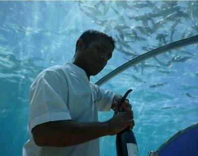 水族館服務員累嗎（水族館服務員的職業晉升路徑）