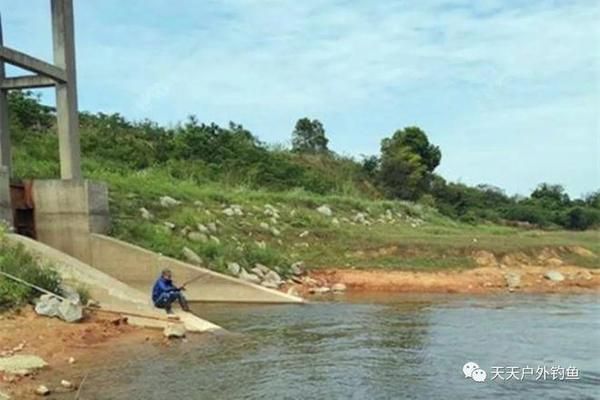 龍魚財神最忌諱的三個東西，養魚禁忌與風水講究，龍魚財神三大禁忌，養魚風水必知的避諱要點