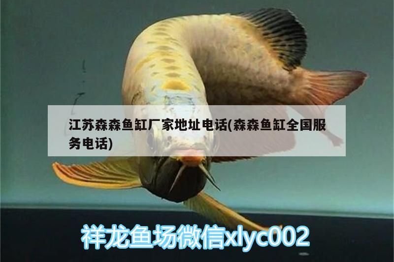 江蘇森森魚缸廠家地址電話(森森魚缸全國服務電話)