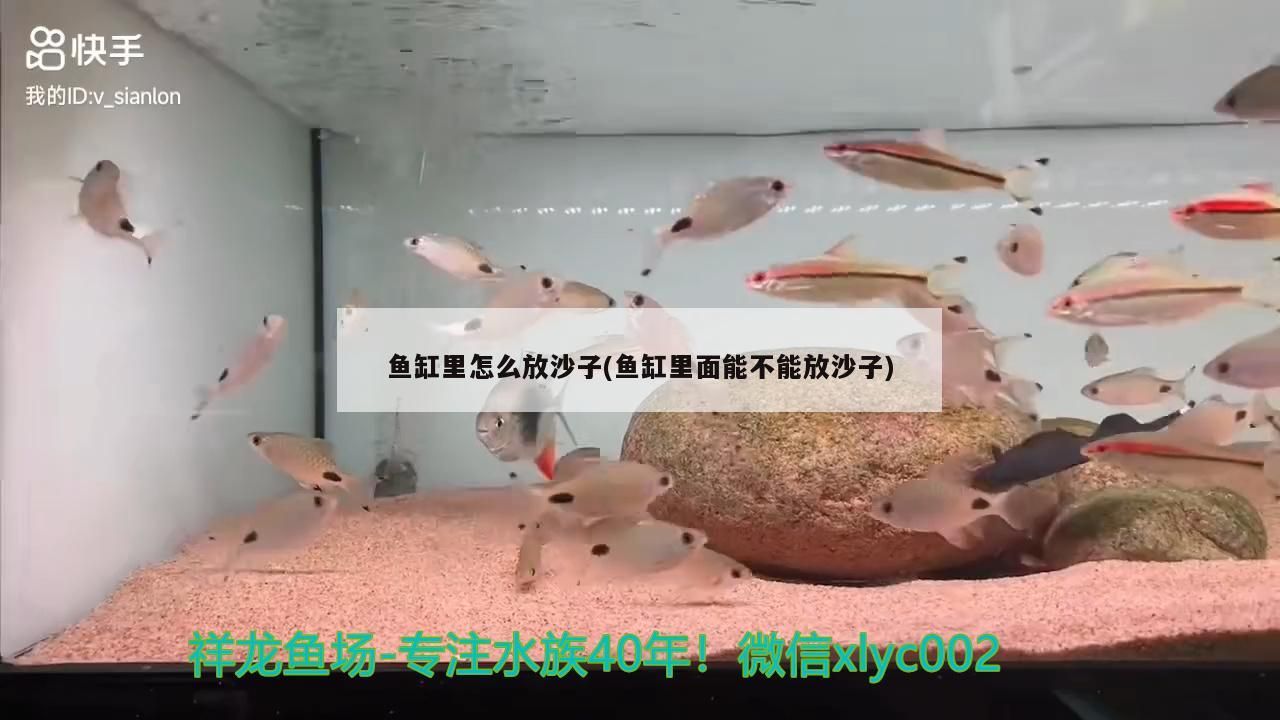 魚缸里怎么放沙子(魚缸里面能不能放沙子)