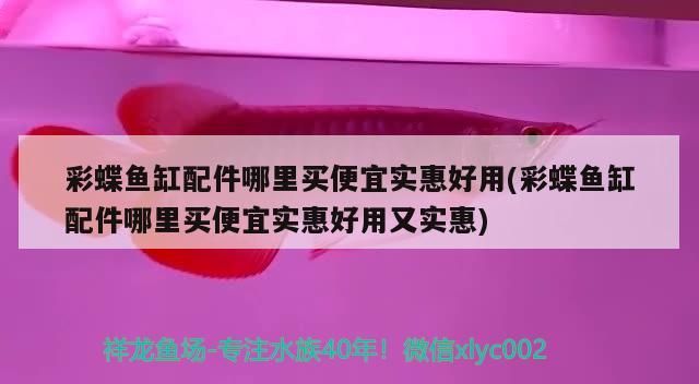 彩蝶魚缸配件哪里買便宜實惠好用(彩蝶魚缸配件哪里買便宜實惠好用又實惠)