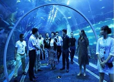 水族館經營模式有哪些（水族館品牌塑造成功案例：水族館團隊建設的關鍵因素）