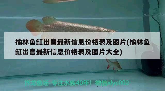 榆林魚缸出售最新信息價格表及圖片(榆林魚缸出售最新信息價格表及圖片大全)