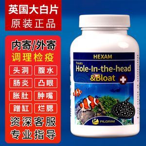 魟魚腸炎用土霉素還是大白片：魟魚腸炎的治療藥物主要集中在土霉素和大白片兩種藥物上
