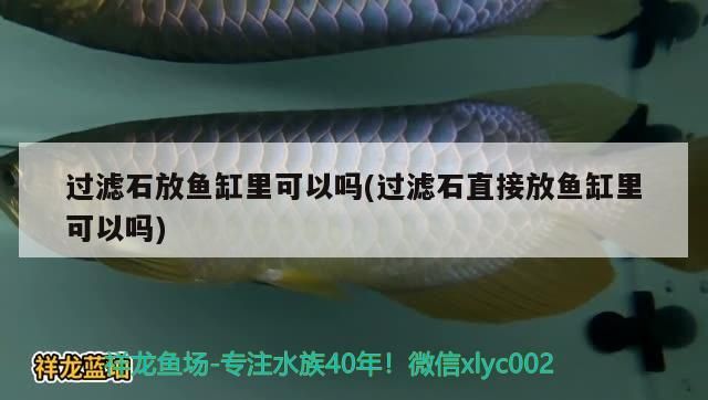 過濾石放魚缸里可以嗎(過濾石直接放魚缸里可以嗎)