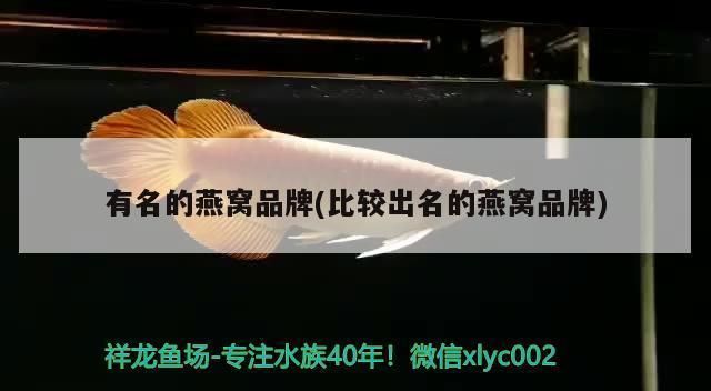 水族館進貨漁場（關于水族館進貨漁場的詳情）